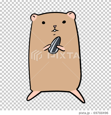 Illustration of a standing Kinkuma hamster (sunflower seeds, snacks, breeding) 69788496