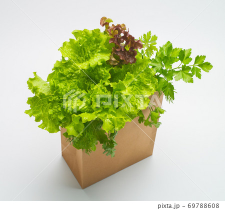 Various ingredients for vegetable salad. Healthy food. 69788608