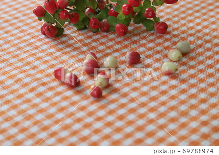 格子模様のテーブルクロスに置いたヒペリカムの実 格子模様のテーブルクロスに置いたヒペリカムの実 69788974
