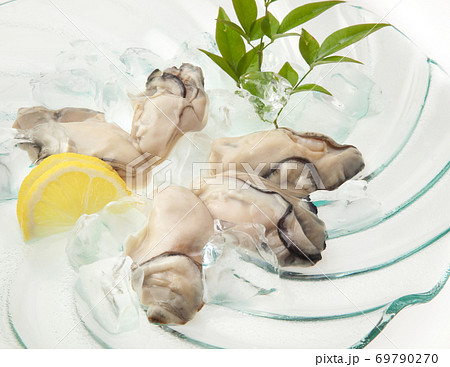 生牡蛎 広島産 生牡蛎 広島産 69790270