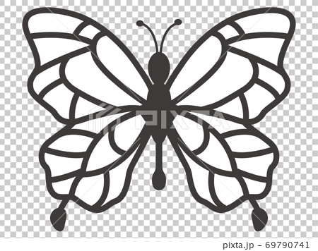 蝶の線画のイラスト素材