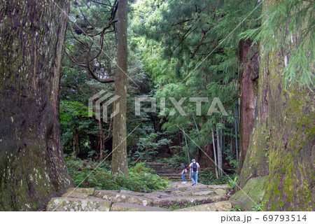 和歌山県　熊野古道　大門坂から夫婦杉を越えて歩いて行く人 69793514