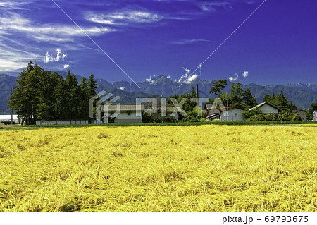 安曇野 秋の稲田と旧酒蔵 安曇野 秋の稲田と旧酒蔵 69793675