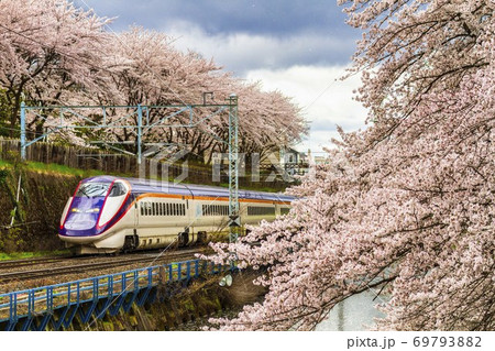 霞城公園の桜と山形新幹線 山形県山形市の写真素材