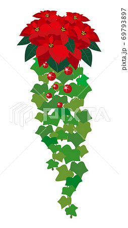 ポインセチアとアイビーのクリスマスフラワーアレンジメントのイラスト素材