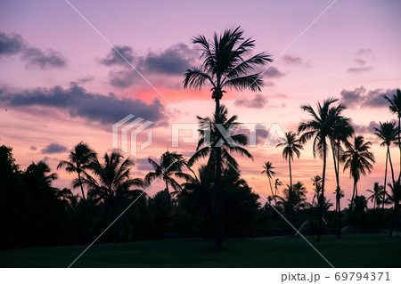 Palm trees silhouettes on tropical beach during colorful sunset. 69794371