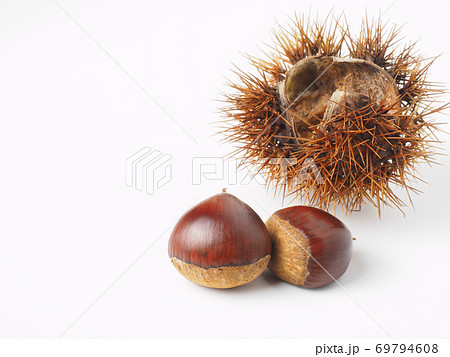 殻付きの栗を白バックで 69794608