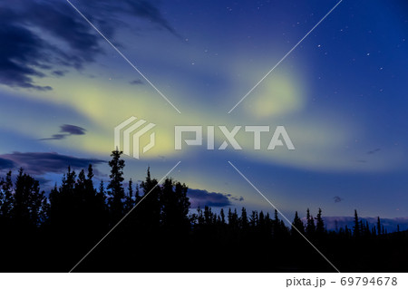 Northern lights, aurora borealis, in the Canadian Nature Northern lights, aurora borealis, in the Canadian Nature 69794678