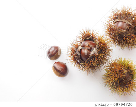 殻付きの栗を白バックで 殻付きの栗を白バックで 69794726