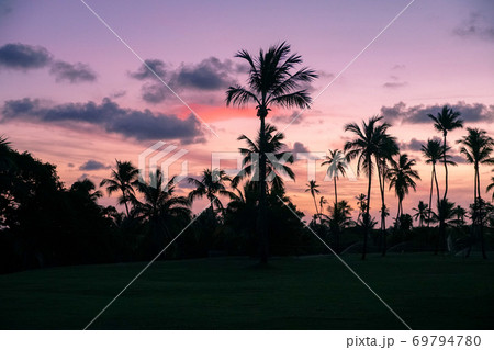 Palm trees silhouettes on tropical beach during colorful sunset. 69794780