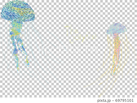 jellyfish jellyfish 69795101