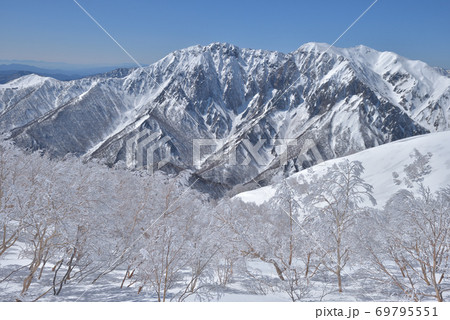 白毛門山と笠ヶ岳の鞍部付近から見る樹氷になったダケカンバの林と谷川岳、天神平スキー場 69795551