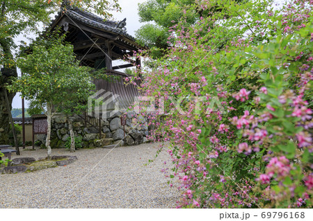 飛鳥寺 飛鳥寺 69796168