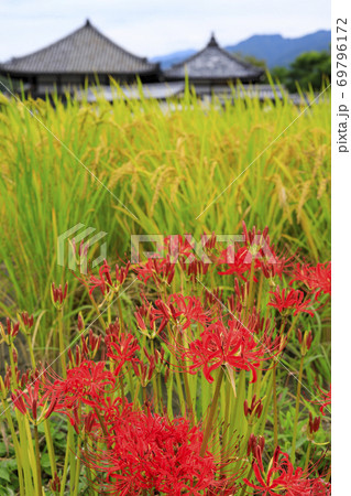 飛鳥寺 飛鳥寺 69796172