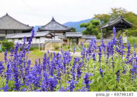 飛鳥寺 飛鳥寺 69796185