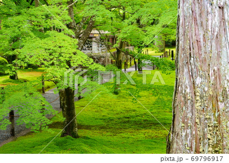 京都大原三千院の苔庭34 京都大原三千院の苔庭34 69796917