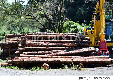 間伐材と重機 間伐材と重機 69797599