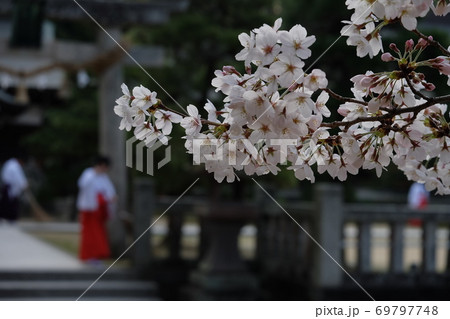 松陰神社 69797748