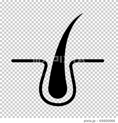 Hair root icon material illustration /矢量圖 69800066