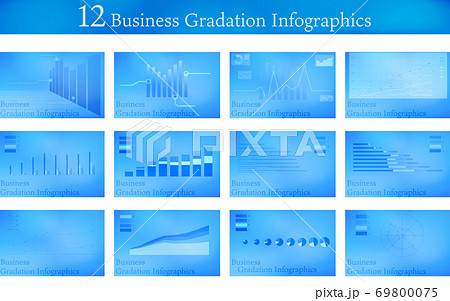 12種類のビジネスグラフセット 12種類のビジネスグラフセット 69800075