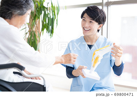 医療　膝関節模型を使って説明をするドクター 69800471