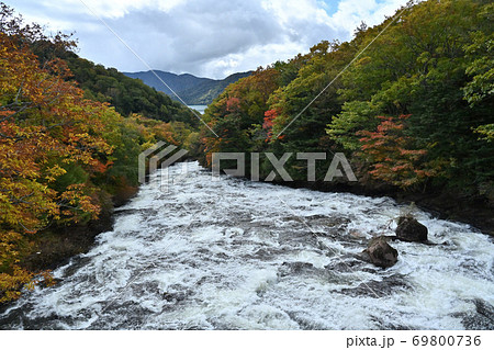 竜頭の滝 台風一過 奥日光の紅葉 竜頭の滝 台風一過 奥日光の紅葉 69800736