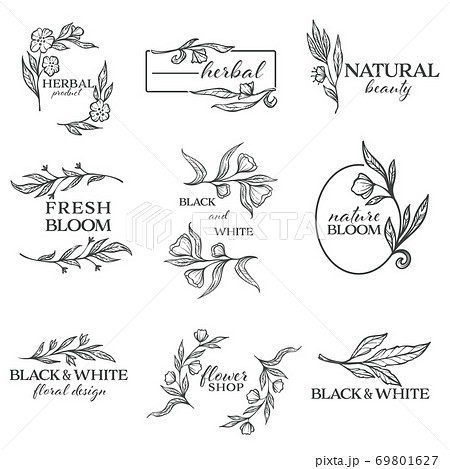 Herbal product and natural beauty, minimalist banners vector 69801627