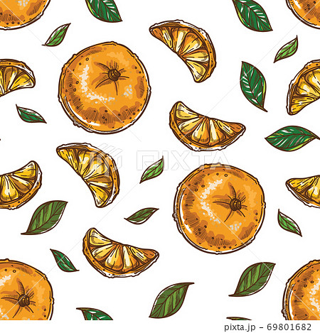 Citrus and herbs, mandarins and mint leaves seamless pattern Citrus and herbs, mandarins and mint leaves seamless pattern 69801682