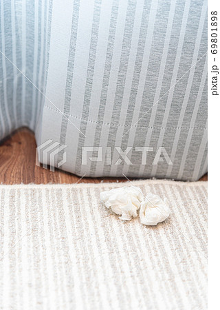 ティッシュのゴミ 69801898