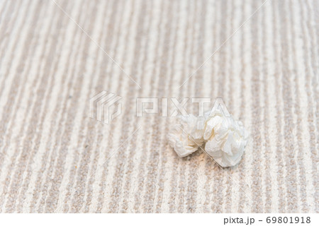 ティッシュのゴミ 69801918