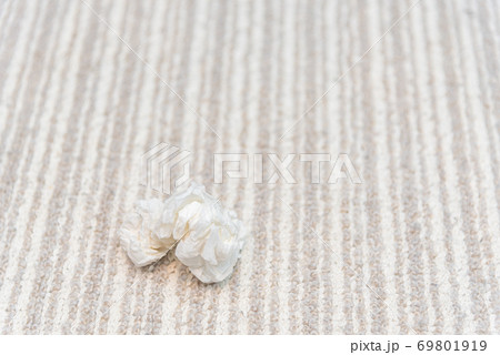 ティッシュのゴミ ティッシュのゴミ 69801919