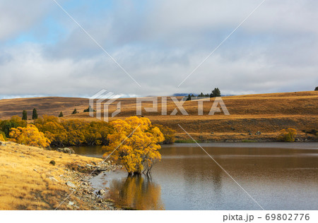Autumn in New Zealand 69802776