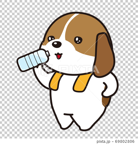 運動をして水を飲む子犬 キャバリア ビーグル犬 のイラスト素材