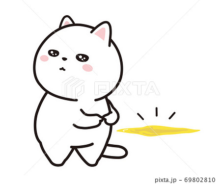 おしっこに失敗をして落ち込む猫 おしっこに失敗をして落ち込む猫 69802810