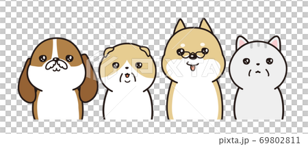 高齢の猫と犬が整列をしたベクターイラスト シニアペットのイラスト素材