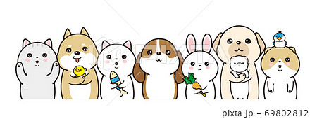 動物のベクターイラストレーション　猫と犬と兎と鳥とフェレット 69802812