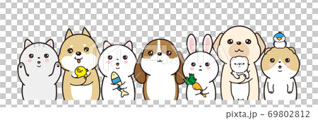 動物のベクターイラストレーション　猫と犬と兎と鳥とフェレット 69802812