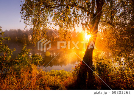 Golden misty sunrise on the pond in the autumn morning. Trees with rays of the sun cutting through it, reflected in the water. 69803262