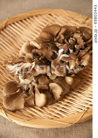 舞茸 舞茸 69803443