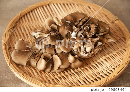 舞茸 舞茸 69803444