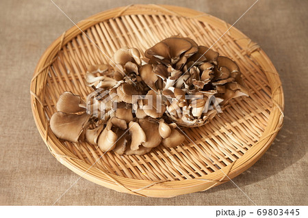 舞茸 舞茸 69803445