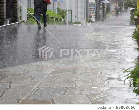 雨の中の歩行者 雨の中の歩行者 69803660
