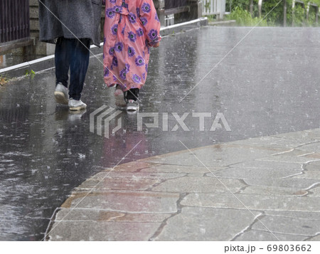 雨の中の歩行者 雨の中の歩行者 69803662