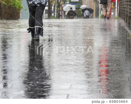 雨の中の歩行者 69803664