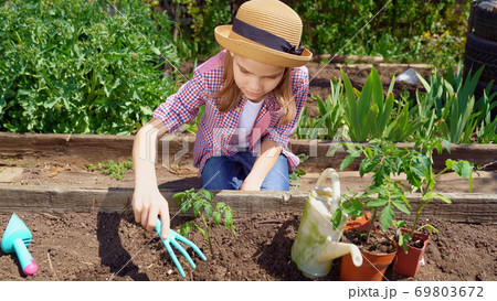 cute little teen girl in hat planting seedlings cute little teen girl in hat planting seedlings 69803672
