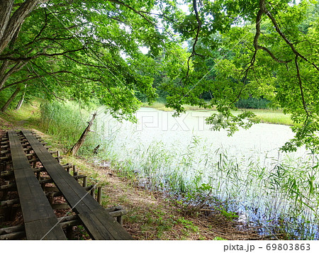 市民の森 西向沼 米沢 市民の森 西向沼 米沢 69803863