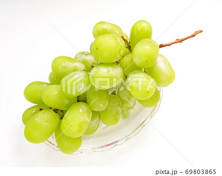 シャインマスカット　ぶどう　ブドウ　葡萄 69803865