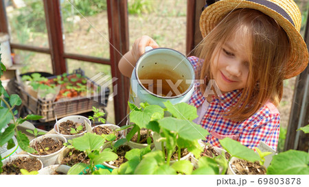 Adorable little girl in hat watering seedlings 69803878