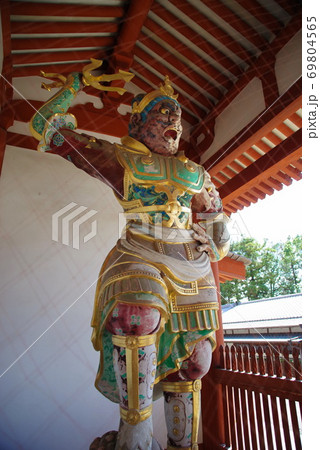 古都奈良の世界遺産  薬師寺 69804565