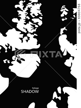 Black silhouette shadows from trees and branches Black silhouette shadows from trees and branches 69804768